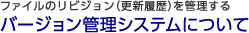 �o�[�W�����Ǘ��V�X�e���ɂ���