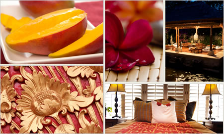 個性派のイメージ