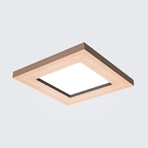 ﾀﾞｳﾝﾗｲﾄ03