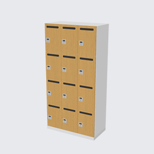 ﾊﾟｰｿﾅﾙﾛｯｶｰP10