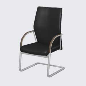 ﾏﾈｰｼﾞﾒﾝﾄﾁｪｱF03