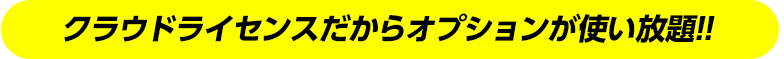クラウドライセンスだからオプションが使い放題!!