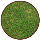 日比谷花壇 敷材 03