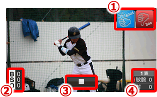 ムービーエリア