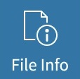 File info