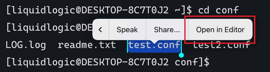 SSH Terminal Open in editor